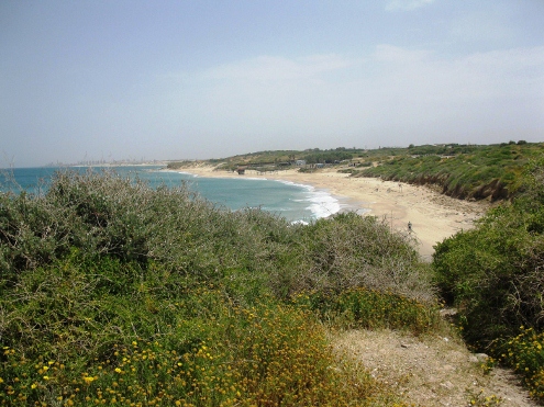 גן לאומי חוף פלמחים(צילום:איל מיטרני)